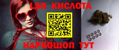 mdpv Ярославль