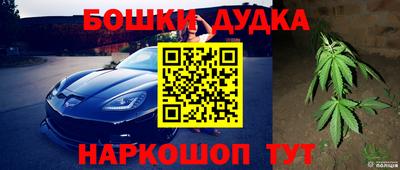 mdpv Ярославль