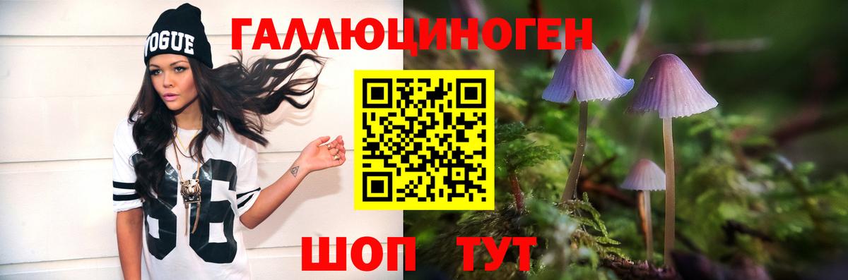 Псилоцибиновые грибы Psilocybe  Вход с VPN  Псилоцибиновые грибы Psilocybine cubensis  наркошоп  Кудымкар 